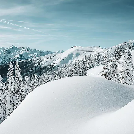 Living Eden By We Rent, Summercard Included Apartment Zell am See